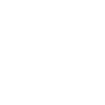 auto repair sarasota